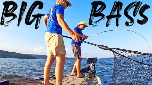 WINNING A BASS TOURNAMNET ON LAKE GUNTERSVILLE! (GIANT BASS)