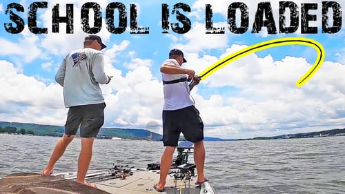Fishing SCHOOLING Bass on Lake Guntersville! (LOADED)