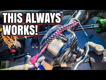 A Texas Rig ALWAYS Produces! (Summer Bass Fishing)