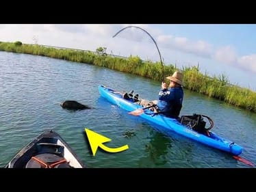 IS THAT EVEN A FISH?!