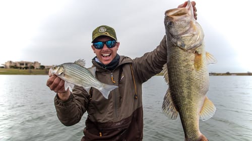 Huge Largemouth Chasing White Bass!