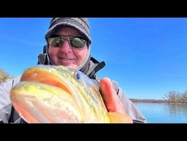 You’ll Never Witness A Bass Doing THIS….