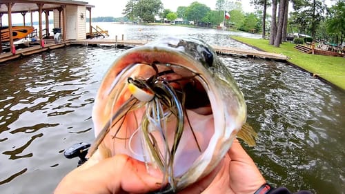 Shallow Spring Bass DESTROY Swim Jigs!!