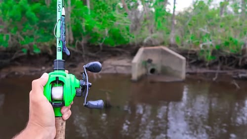 WALMART Topwater ONLY Bank Fishing Challenge (HUGE BASS)
