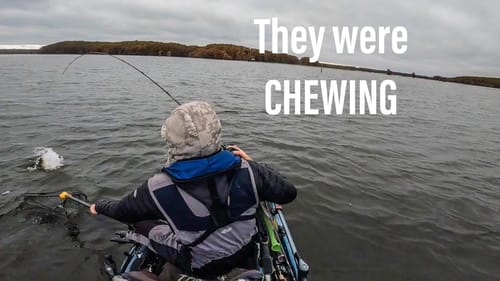 CADDO Lake Tournament Of Champions (COLD FRONT day 2)