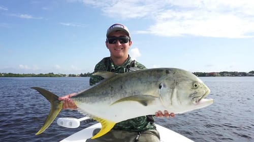 Fishing for Big Jack Crevalle