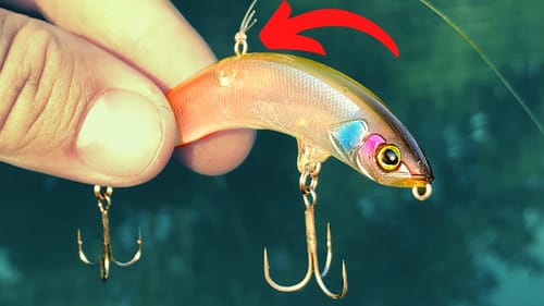 This NEW Japanese LURE Is A WACKY RIGGED TOPWATER?? (The PikuPiku)