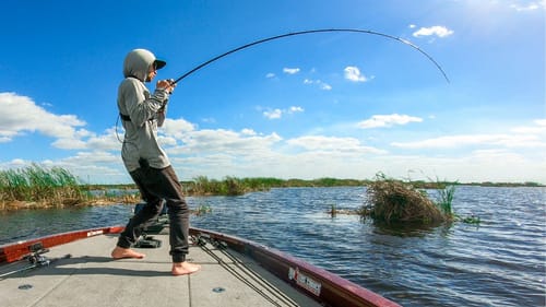 Fishing Floating Islands Pays off With The Biggest Catch Of The Day