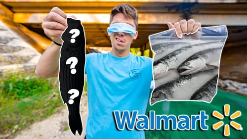 BLIND FOLD Taste Test — WILD Caught VS Store Bought! (Catch Clean Cook)