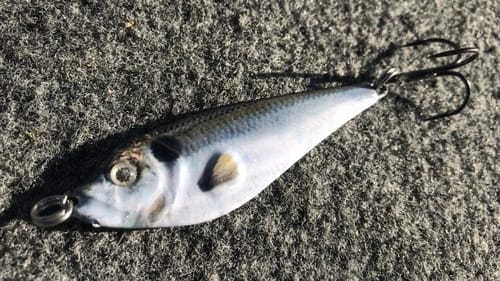 Spoons For Winter Bass