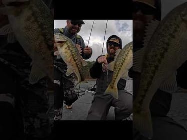 Ever Catch A Zombie Bass?! 🤮