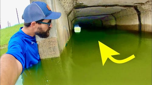 MONSTER FISH in EXTREME CITY FLOODING!!!