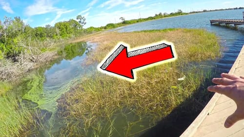NEVER Been to This LAKE!!! Google MAPS FIND FISH!?!?