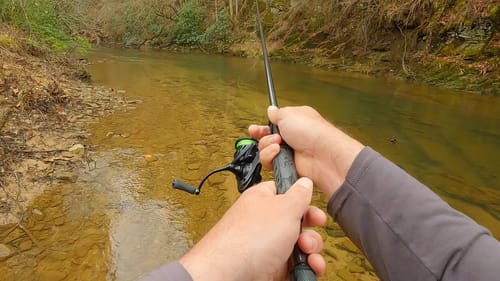 These Creek Bass Were Waiting for ME!!