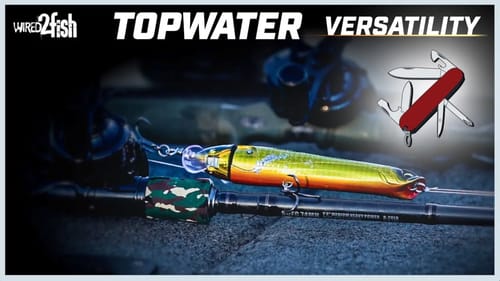 Savage Gear Prop Walker Video Review and How to Fish