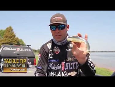 Tackle Tip Tuesday - Lee Livesay