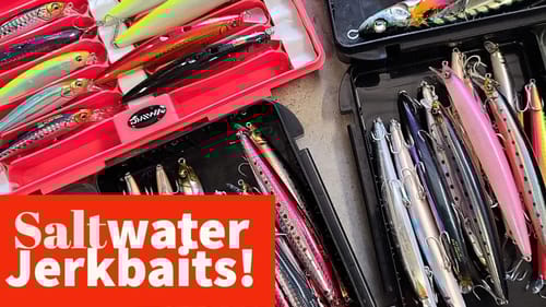 New Megabass Hardbaits!  Saltwater Big Bass Dreams Mail Call