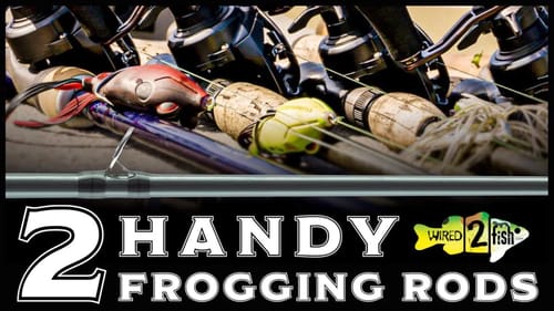 2 Best Frog Rod Setups for Bass Fishing