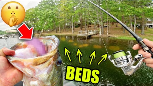 this Secret Lure OUT FISHES Every other Bed Fishing bait!