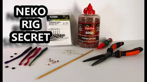 NEKO Rig HACK! Catch More Fish With This SECRET!
