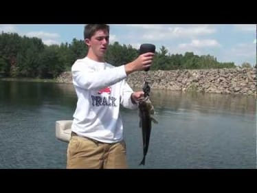 Drop Shot Fishing The Evolve Fluidworm