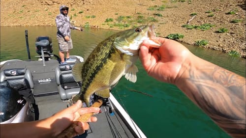 Springtime Bass Fishing on Lake Oroville | We Lost Count!!