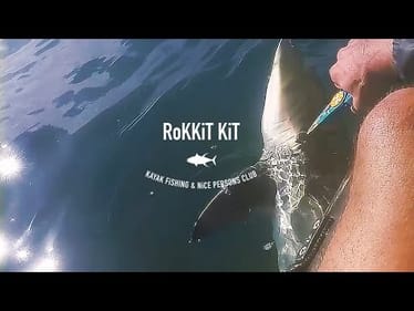 Shark Fishing again - Blacktip on the Slammer III 3500