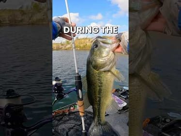 Catch Bigger Fish in Fall and Winter with Smaller Baits #fishing