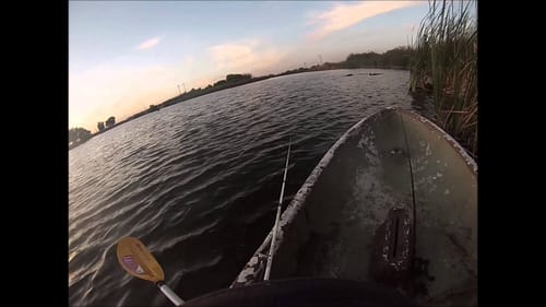 Mendota Slough Bass Fishing 2014