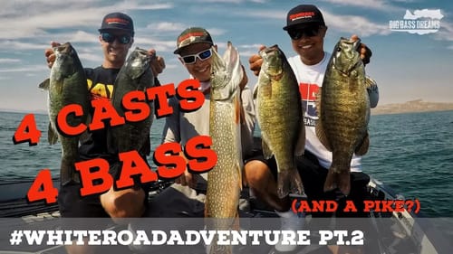 4 Casts 4 Bass on the White Road Adventure - Part 2 Montana