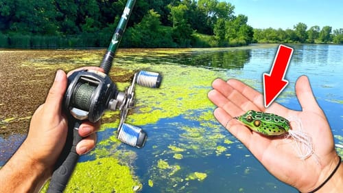 Searching for BIG Bass in the Heat of the Day!! (Pond Fishing)