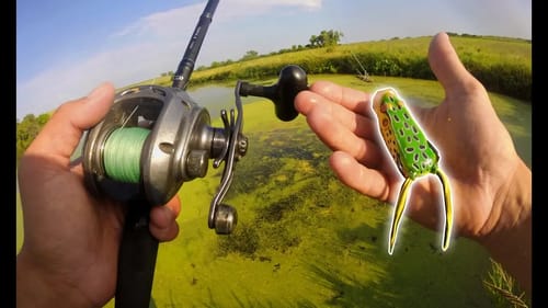 Catching Slaunches With Ben Milliken In FIRE PONDS!