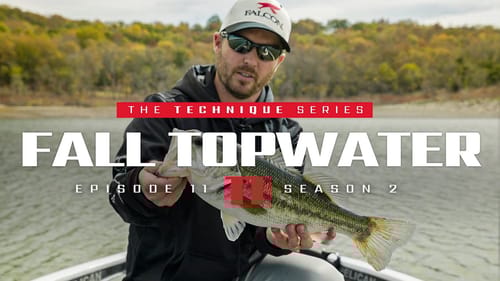How to Adjust to the Conditions! (FALL Topwater Fishing)