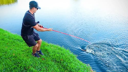 This Lure Catches EVERYTHING (Bank Bass Fishing)