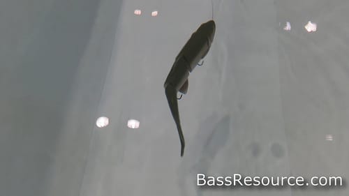 Savage Gear Line Thru Trout SwimBait | Bass Fishing