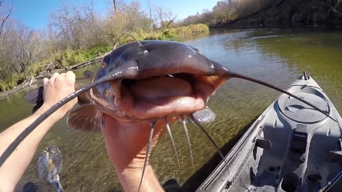 Kayak Fishing For Channel Cats