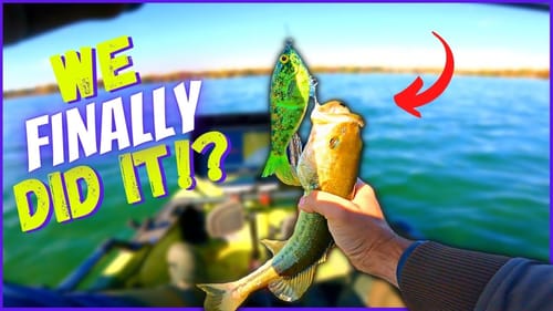 THIS Catch Took Me 18 Months!  FIRST Swimbait Fish!