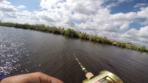 I Thought I was Snagged
