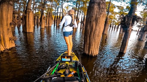 My BIGGEST limit Fishing for 50K!!! (Day 3 KBF NC Bass Fishing)