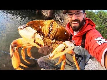 GIANT CRAB catches BEHEMOTH FISH!! (INSANE)