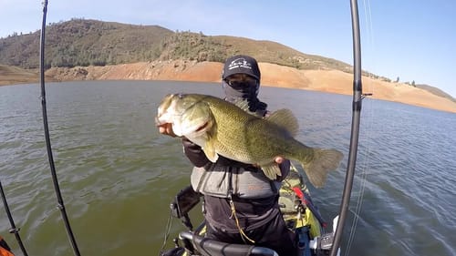 Big Summertime Topwater Fish (Tournament on Lake McClure)