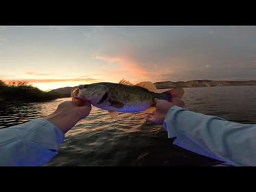 Evening Session: Fishing at Saguaro Lake