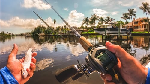 Catching One of the Most Challenging Saltwater Fish