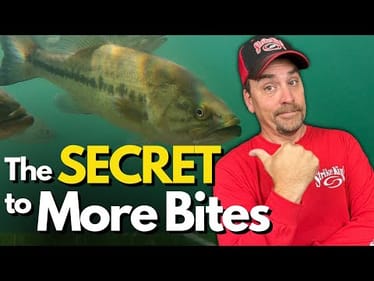 INSTANTLY Improve Your Bass Fishing (Costs Zero $$$)
