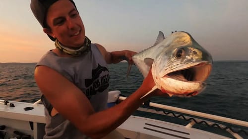 Giant Trevally Flower Grouper Queenfish & Reef Sharks on Topwater! Risk It for the Biscuit Part 10