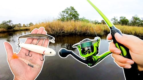 Bass Fishing w/ Saltwater Lures (SURPRISE CATCH)
