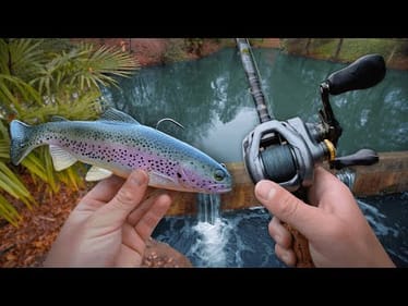 Fishing For 13lb Bass In AMUSEMENT Park Ponds! (Big Swimbaits)