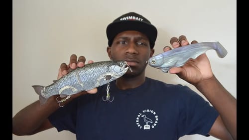 Swimbait Talk - When To Throw A Hard Bait Or A Soft Bait