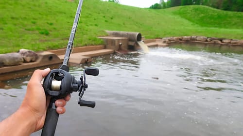 This Lake is LOADED w/ Bass! (Giant Bass Fishing)