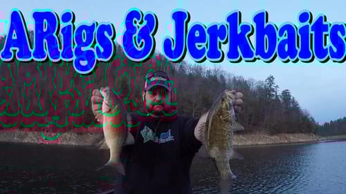 Cold Bass Love ARigs and Jerkbaits!